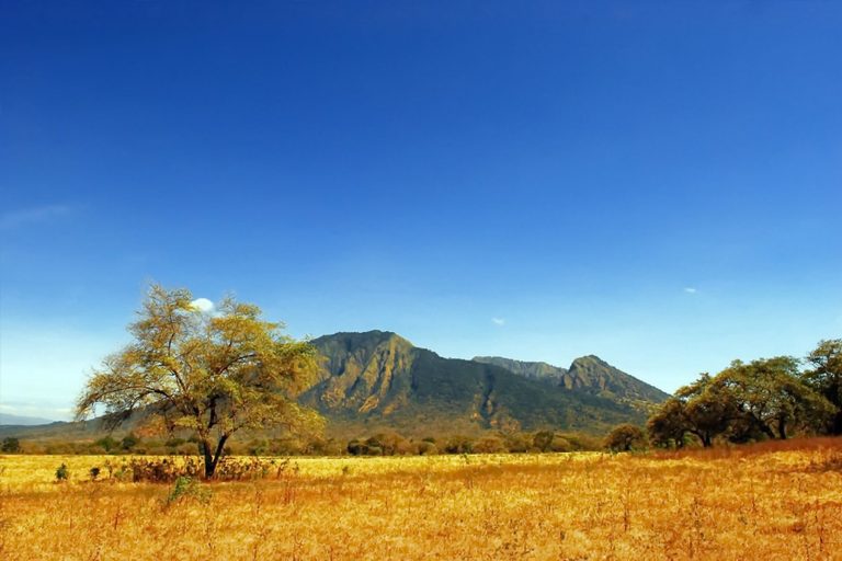 Taman Nasional Baluran | Keindahan Savana dan Satwa Liar!