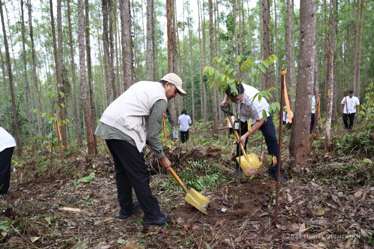 Kepala Otorita IKN: Jadikan Kegiatan Menanam Pohon Sebagai Gaya Hidup