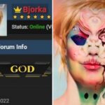 Bjorka, Hacker Kontroversial yang Kini Lumpuh