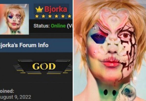 Bjorka, Hacker Kontroversial yang Kini Lumpuh
