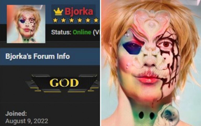 Bjorka, Hacker Kontroversial yang Kini Lumpuh