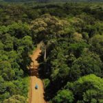 Potensi Hutan Adat 1,4 Juta Hektare Harus Dirasa Masyarakat