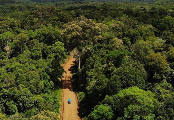 Potensi Hutan Adat 1,4 Juta Hektare Harus Dirasa Masyarakat