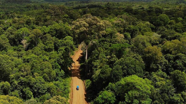 Potensi Hutan Adat 1,4 Juta Hektare Harus Dirasa Masyarakat