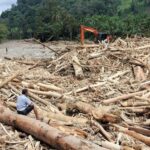Kemenhut Segel 7 Pihak Diduga Sebabkan Kerusakan Hutan dan Banjir di Sumatra