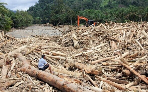 Kemenhut Segel 7 Pihak Diduga Sebabkan Kerusakan Hutan dan Banjir di Sumatra