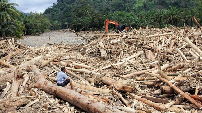 Kemenhut Segel 7 Pihak Diduga Sebabkan Kerusakan Hutan dan Banjir di Sumatra